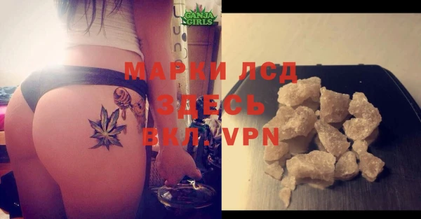 прущие грибы Аркадак