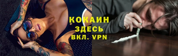 твердый Алексин