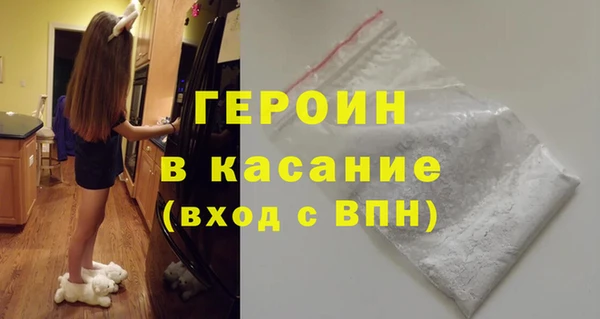 хмурый Тайга