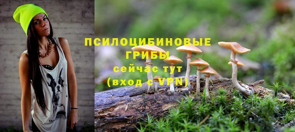 гашик Тихорецк