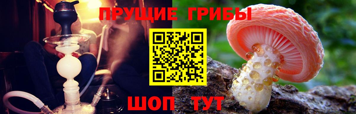 Галлюциногенные грибы ЛСД Обнинск